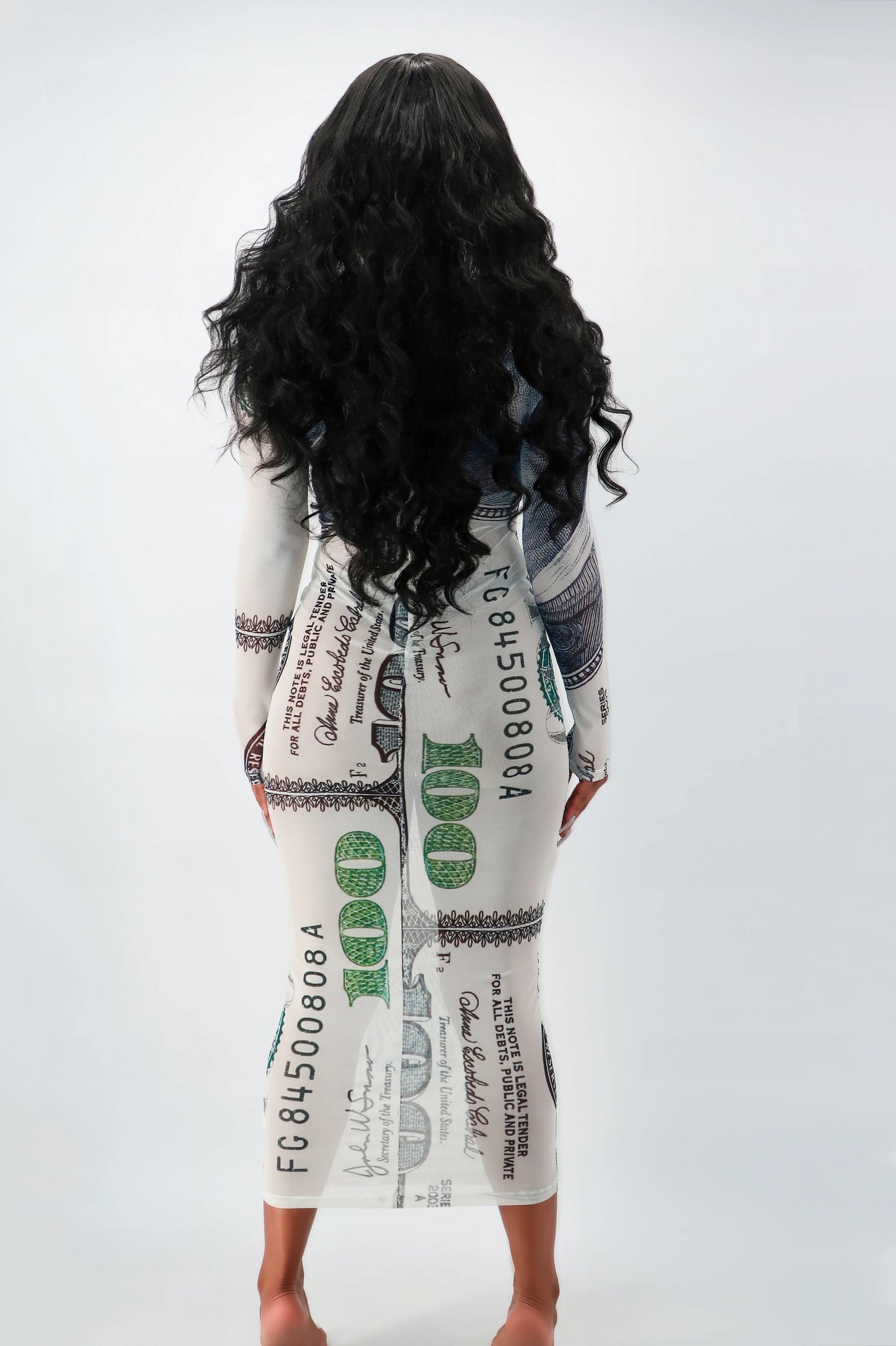 Mesh Maxi Sheer Benji Dress